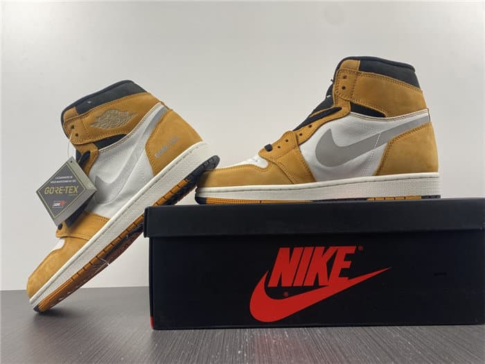JRD1 Element Gore-Tex Light Curry DB2889-700