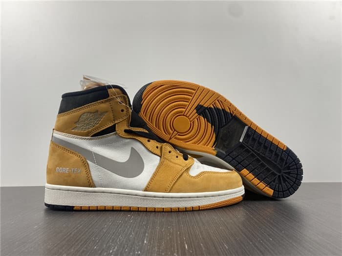 JRD1 Element Gore-Tex Light Curry DB2889-700