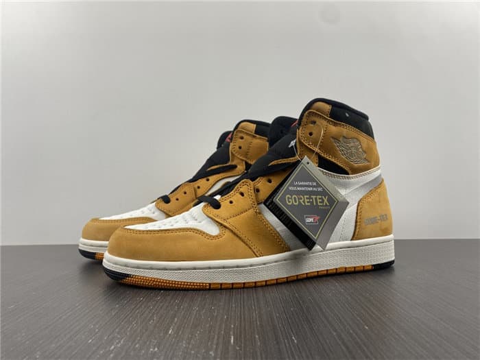 JRD1 Element Gore-Tex Light Curry DB2889-700